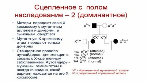 Частота доминантного аллеля