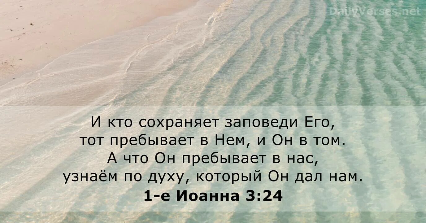 Стихи из Библии. Пребывающий в любви пребывает в Боге и Бог в нем. Друг пребывать