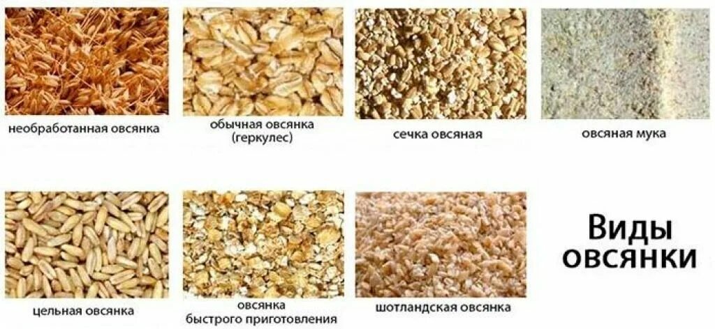 Чем отличается геркулес от хлопьев. Овсяные хлопья или геркулес разница. геркулес каша и овсянка отличия. отличие геркулеса от овсяных хлопьев. овсянка крупа и геркулес одно и тоже или нет.