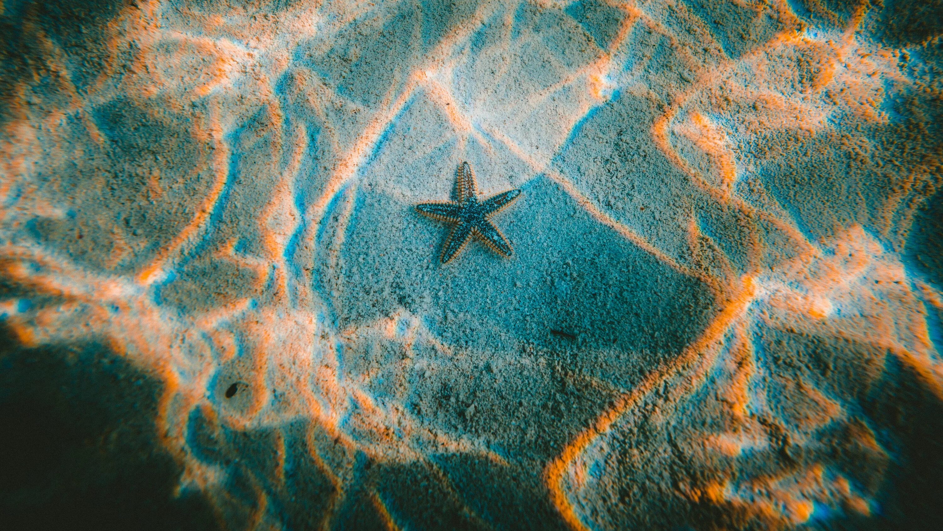 Морские звезды на дне. Морская звезда. Морское дно текстура. Морская звезда на морском дне. Морская звезда в океане.