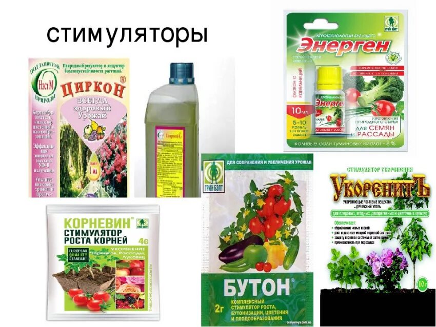 Экогель для комнатных растений. Стимулятор роста для растений. Циркон для растений нэст м. Стимулятор роста для орхидей. Стимуляторы роста для комнатных.