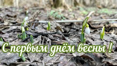 День здоровья весной