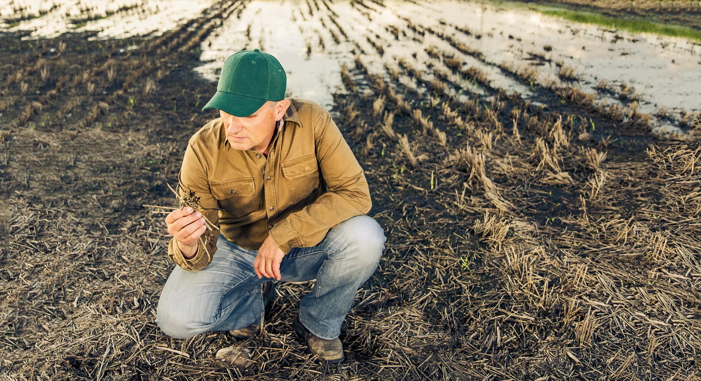 Фермерство в египте. Молодой фермер. Классическое фермерство это. Фото farmer stiefel. Фермерство в одиночку 63.