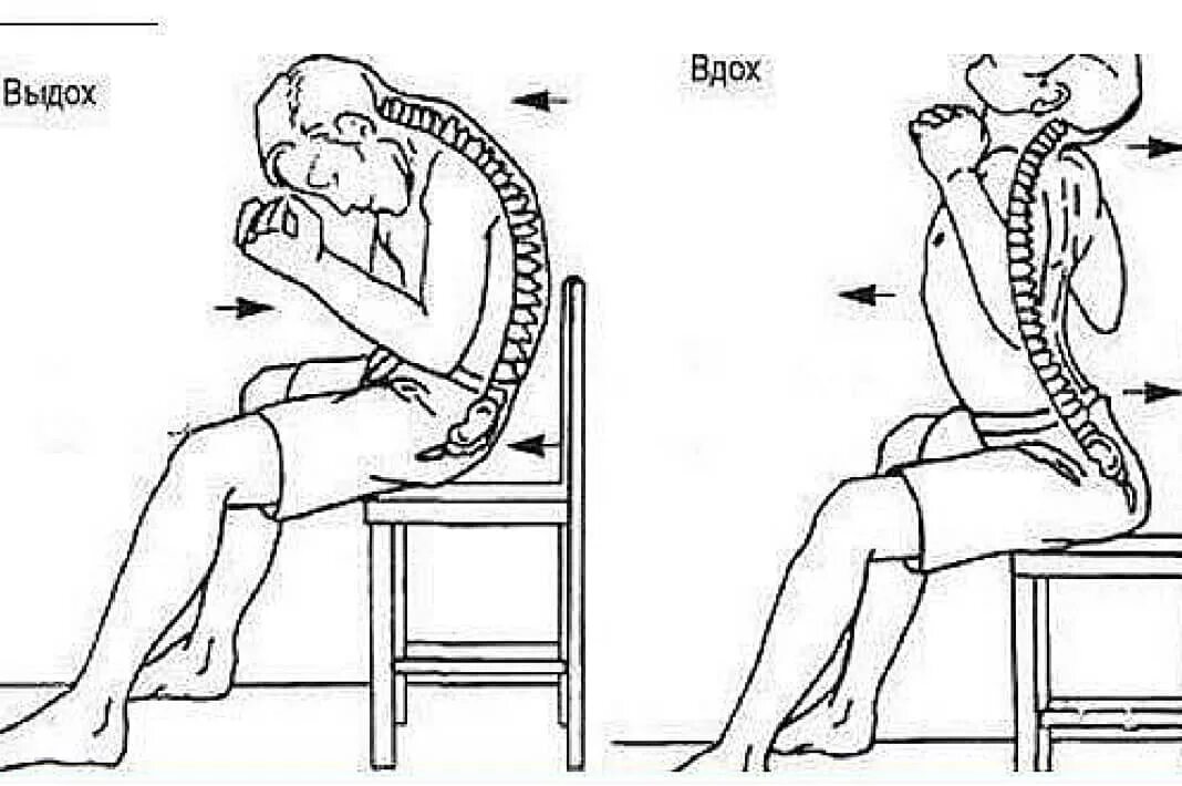 Тренировка мышц диафрагмы. Даосский омолаживающий самомассаж: дыхание позвоночным. Упражнения для позвоночного столба. Дыхание позвоночным столбом. Дыхательные упражнения сидя.
