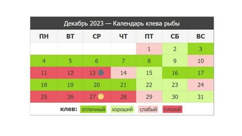 Календарь клева рыбы на неделю в 2024