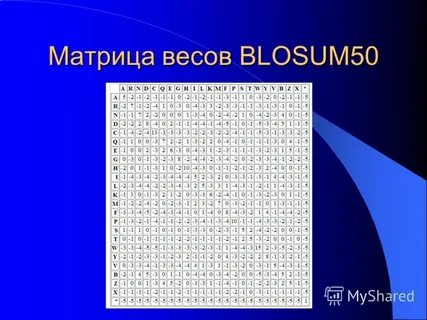 Матрица весов