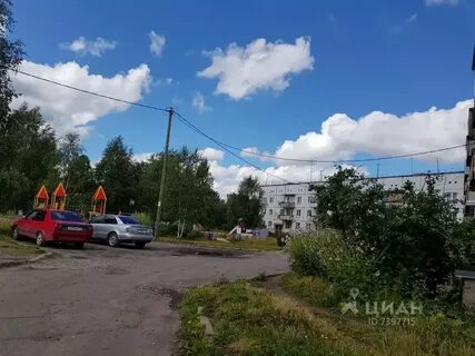 Березник вологодской