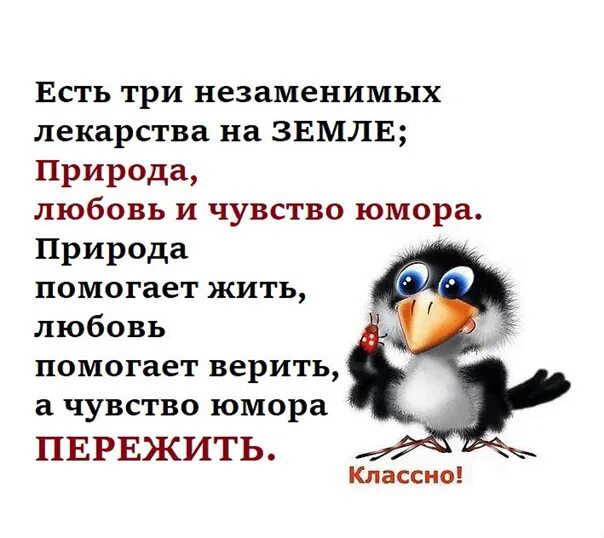 Юмор помогает жить. Есть три незаменимых лекарства на земле. Есть три незаменимых лекарства на земле природа любовь и чувство. Природа любовь и чувство юмора. Есть три лекарства на земле природа любовь и чувство юмора.