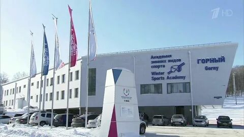 Академия зимних видов