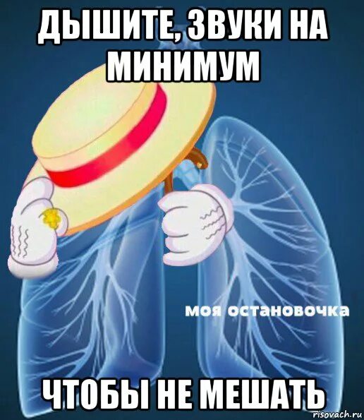 Звук на минимум. Звук на минимум картинка. Моя остановочка Мем. Звуки на минимум чтобы не дышать.