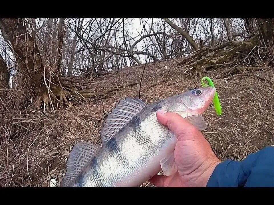 Судак на джиг видео. Судак на джиг видео