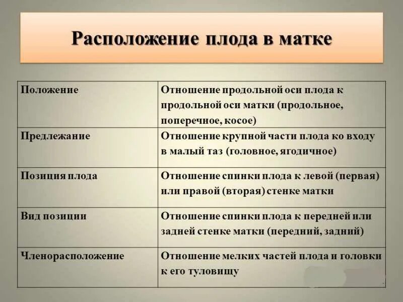 Запущенное положение плода. Как определить вид позиции плода. Как определить положение позицию и вид плода. Вид позиция предлежание.