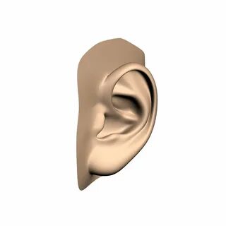 3 ears
