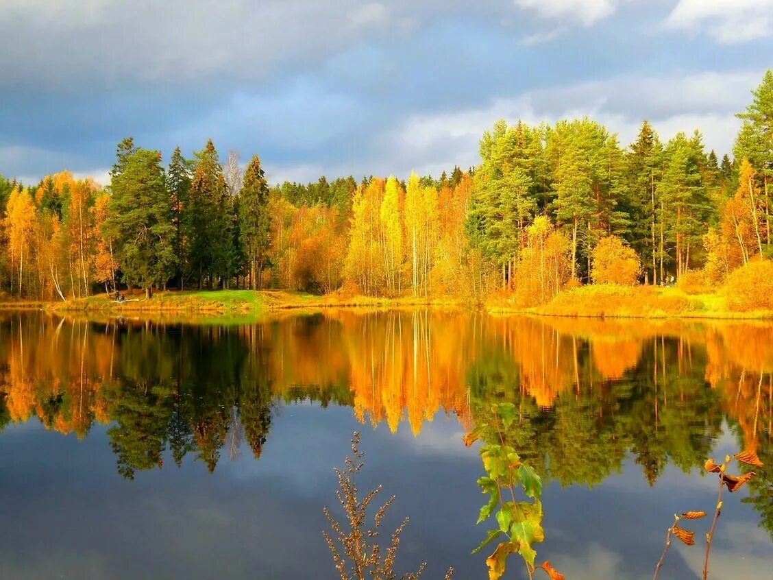 Сайт золотой осени. Токсово озера осень. Осень природа река озеро лес. Золотая осень озеро природа река лес. Золотая осень озеро.