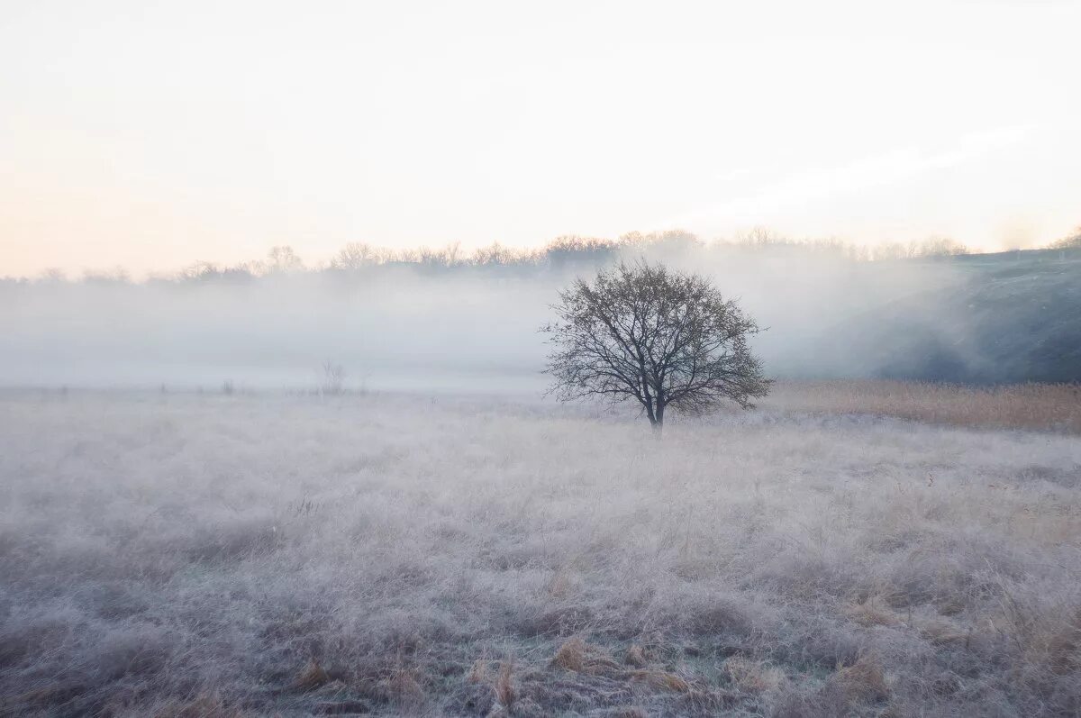 туманное утро ноября. утро туманное утро седое нивы печальные снегом покрытые. мартовский туман. утро туманное утро седое. эраст абаза утро туманное.