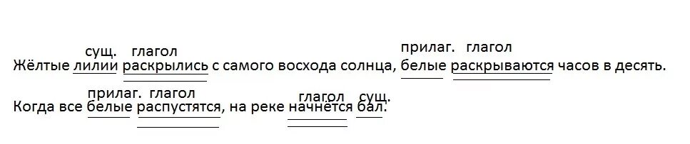 Желтые лилии раскрыты с самого восхода. Солнце до бела текст