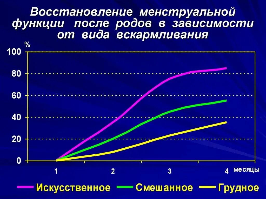 Сколько восстанавливаются месячные