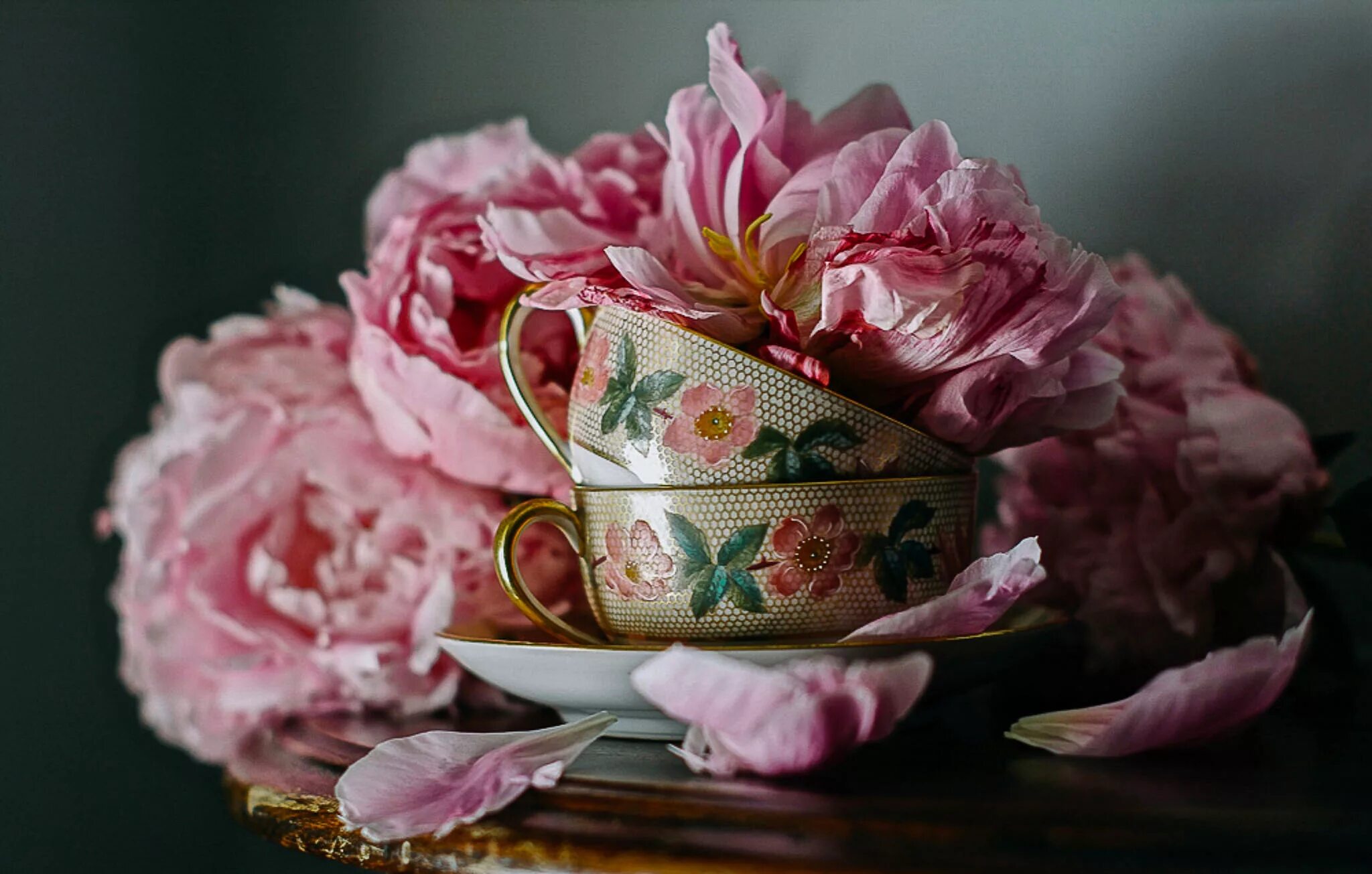 Cups flowers
