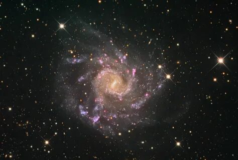 Ngc верхняя красносельская