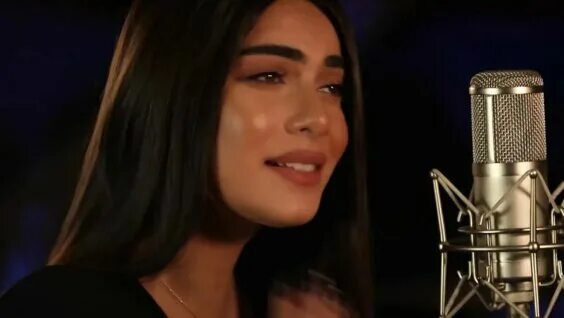 мгер мкртчян фотографии. лучшие песни армении. ергер 2020 армянский. домой ара мартиросян. армянские песни 2023 на русском слушать.