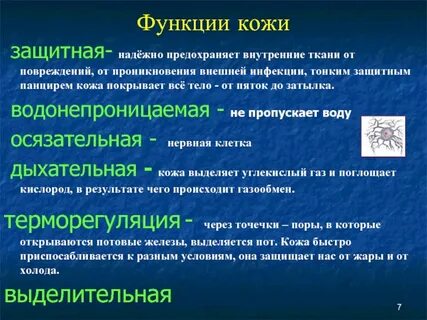 Защита функции кожи