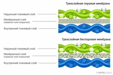Мембрана какая ткань