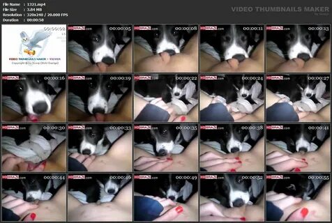RE: cute cams. 