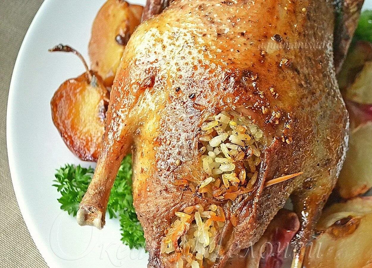 СОЧНАЯ УТКА ЗАПЕЧЕННАЯ В ДУХОВКЕ С ЯБЛОКАМИ. Рецепты на праздничный стол. Новый 