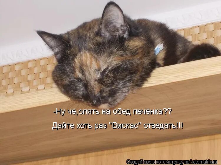 Дайте хоть раз