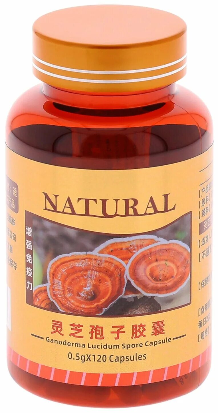 рейши (линчжи). ганодерма гриб рейши. гриб ganoderma lucidum. гриб рейши линчжи. китайские капсулы гриб линчжи.