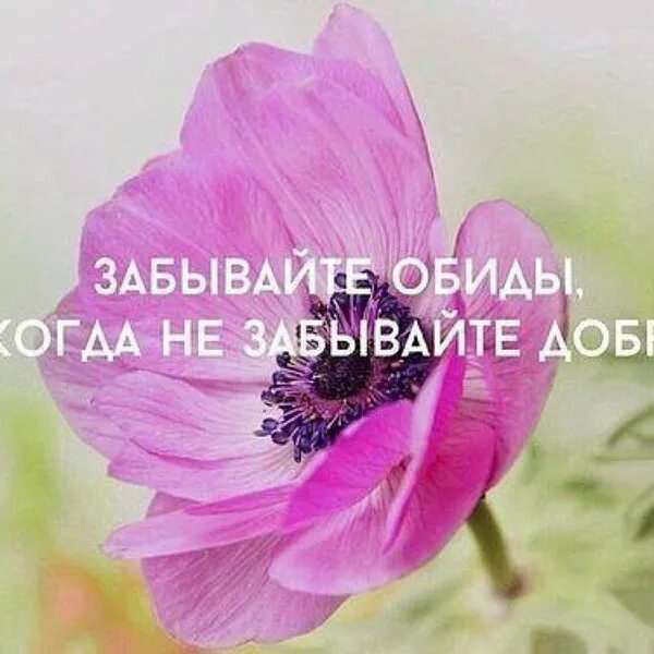 Песня добро не забывай. Не забывайте о доброте. никогда не забывайте доброту. забывайте обиды никогда не забывайте доброту. забывайте обиды но никогда не.
