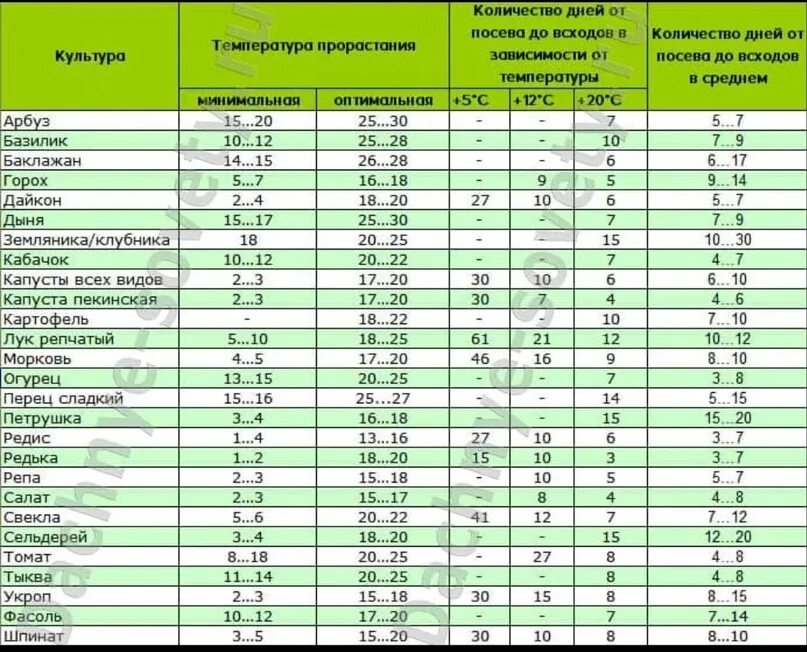 Температура прорастания семян томатов. Сроки всхожести семян овощей таблица. Сроки прорастания семян таблица овощей. Таблица всхожести семян овощных. Сроки всхожести семян таблица.