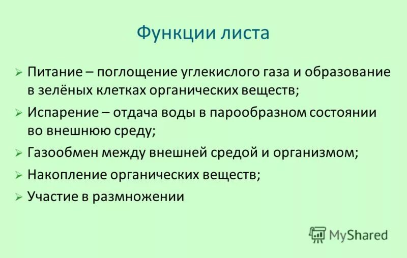 Функции листа 5