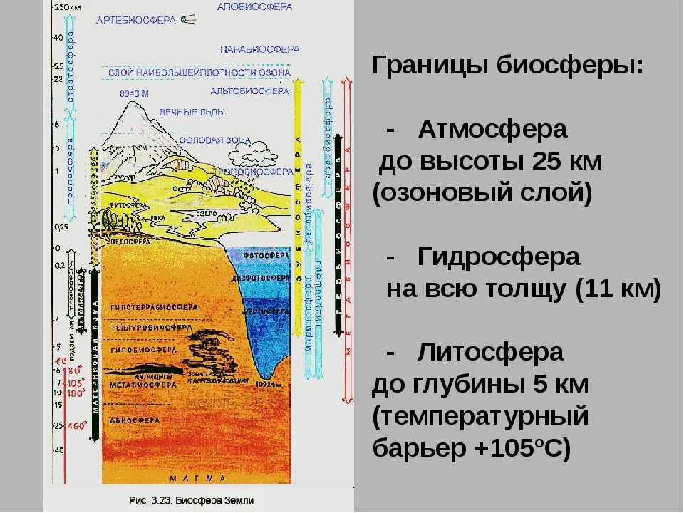 Границы биосферы атмосфера гидросфера литосфера. Границы биосферы вся гидросфера. Граница биосферы в атмосфере. Границы биосферы в гидросфере. Где располагается верхняя граница биосферы