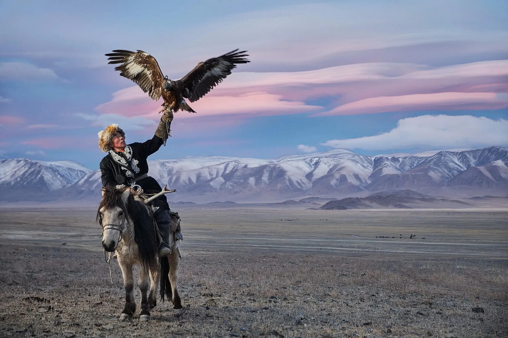 Мзунгу экспедишен. Соколиная охота Киргизия. Охота с Беркутом в Кыргызстане. Соколиная охота в Монголии. Монголия охота с Беркутом.