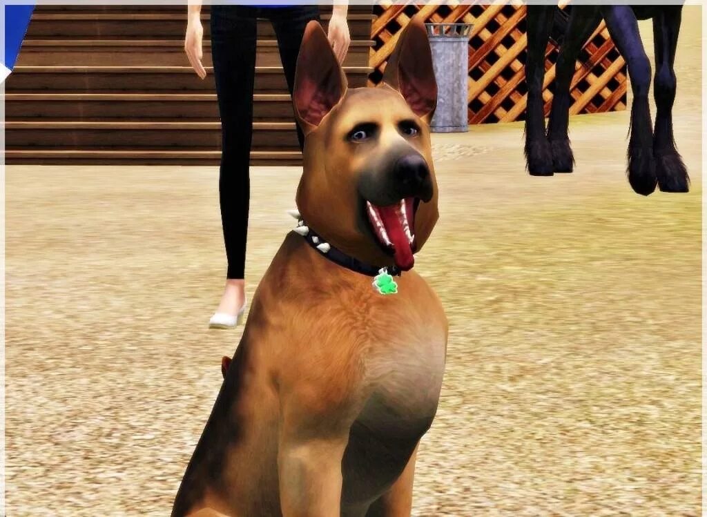 Симс 3 питомцы. Игра the SIMS 3 питомцы. The SIMS 2 питомцы немецкая овчарка. Симс 3 Pets. Симс петс