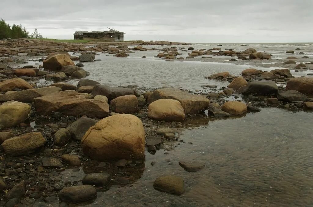 онежская губа белого моря. онежская губа. белое море онега. залив белого моря онежская губа. онежская губа кий остров.