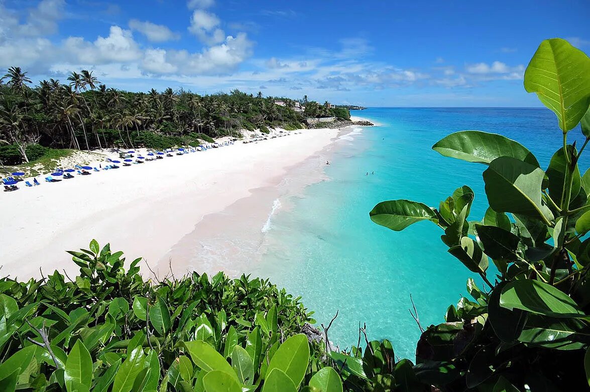 Пляж Крейн Барбадос. Карибские острова Барбадос. Коралловый Барбадос остров. Острова Карибского бассейна Барбадос. Карибские острова путешествия