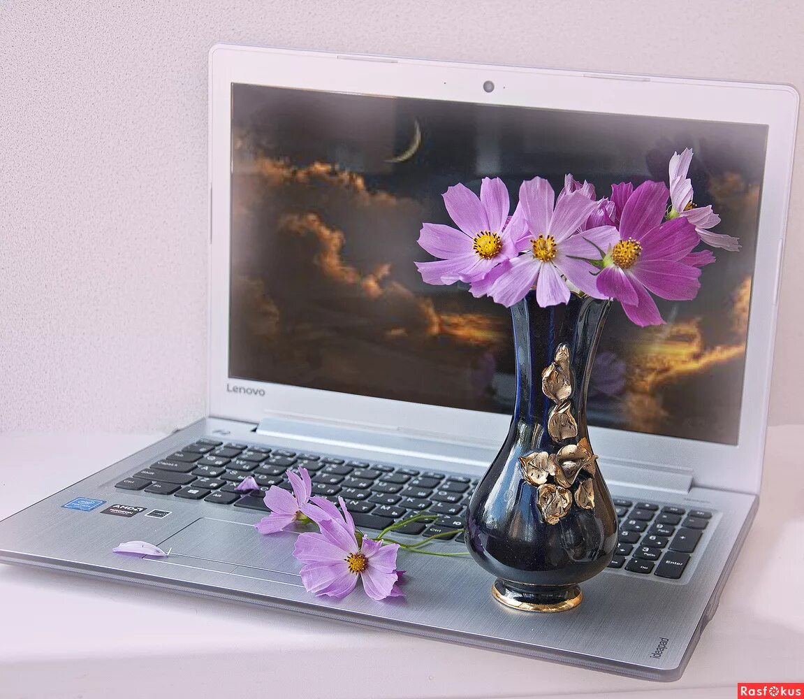 Цветы из компьютера. Ноутбук и цветы. Ноутбук день. Компьютер и цветы. Dere t30 ноутбук.