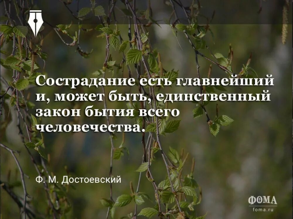 Достоевский о милосердии. Сострадание есть высочайшая форма человеческого существования. Цитаты про сочувствие и сострадание. Сострадание цитаты. Русскому писателю достоевскому принадлежит следующее высказывание сострадание