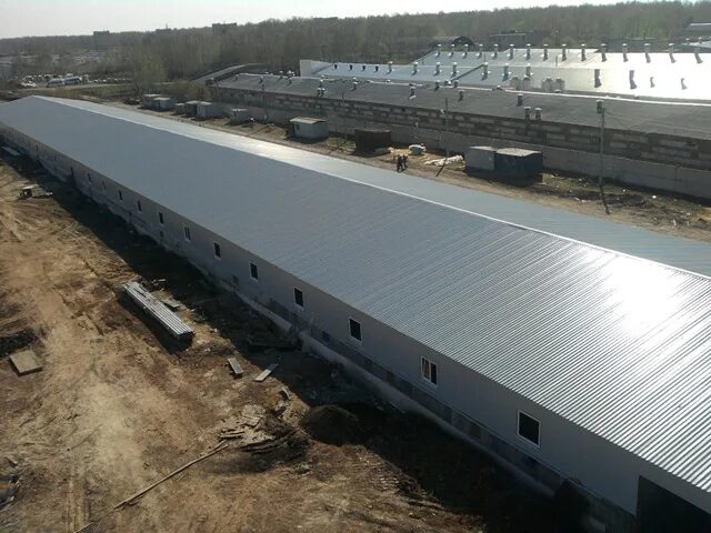 красногорский свинокомплекс челябинской области. красногорский ариант челябинская область. свинарник ариант красногорск. агрофирма ариант. свинокомплексы ариант.