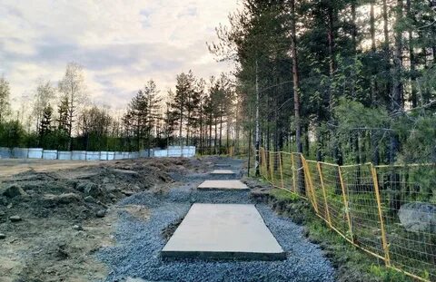 Погода в каменном бору