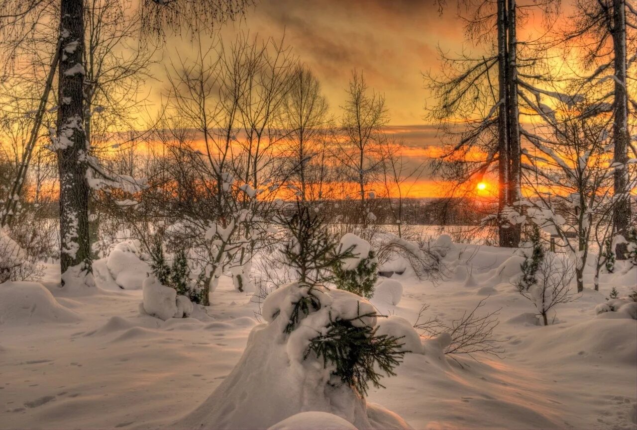 Красивого утра февраля. Зимняя природа. Зима закат. Зима пейзаж. Красивая зима.