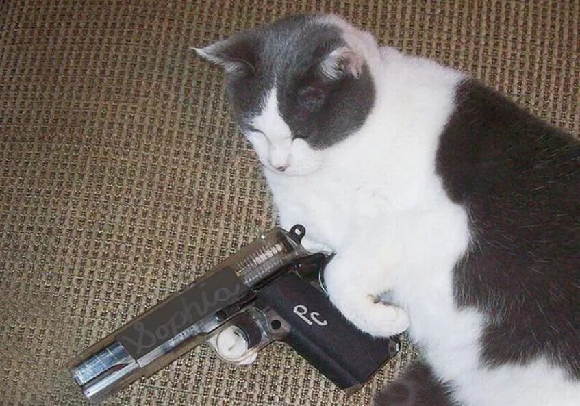 Открываю кис. Кошка с пистолетом. Коты с пистолетами. Котенок с пистолетом. Кот с ножом.