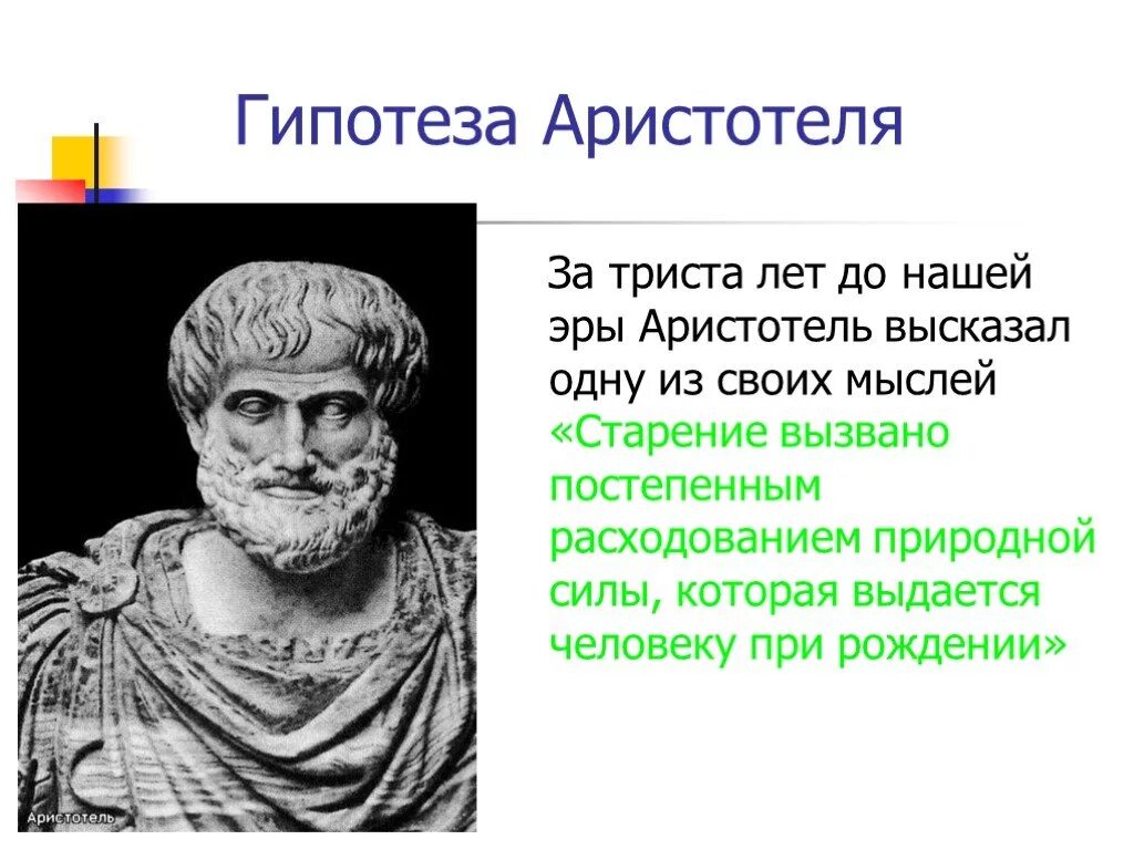 Гипотеза Аристотеля. Аристотель и его система. Теория Аристотеля.