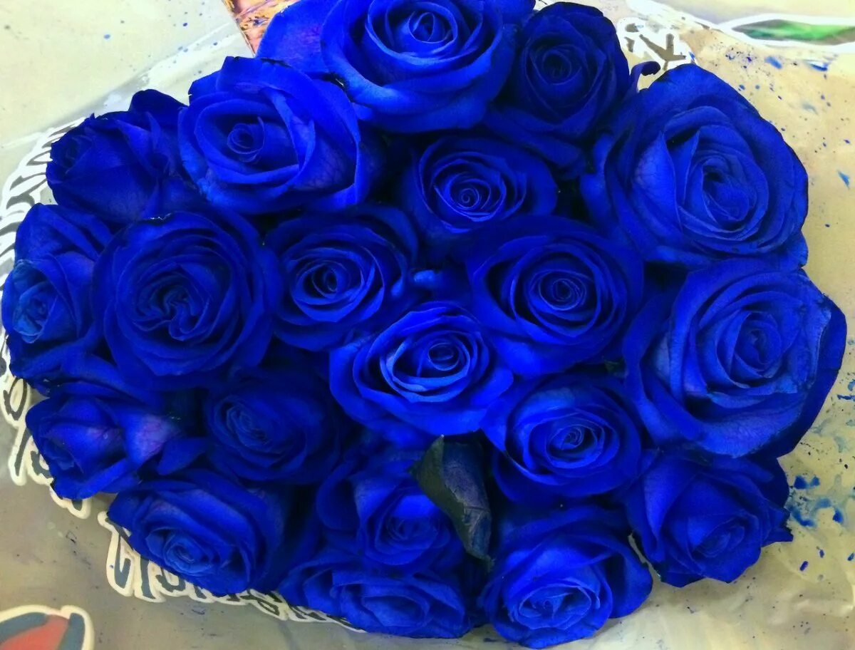 Красивые цвет из синих цветов. Букет синих роз. Голубые розы букет.