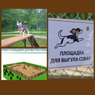 Место для выгула собак