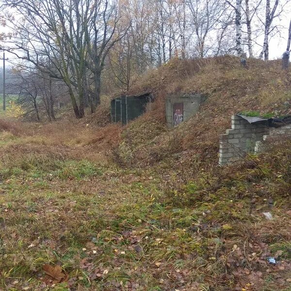 Поселок погребы брянская область. Холмечь брянская область. Погода в погребах брянской. Погода в погребах брянской. Погребы брянская область.