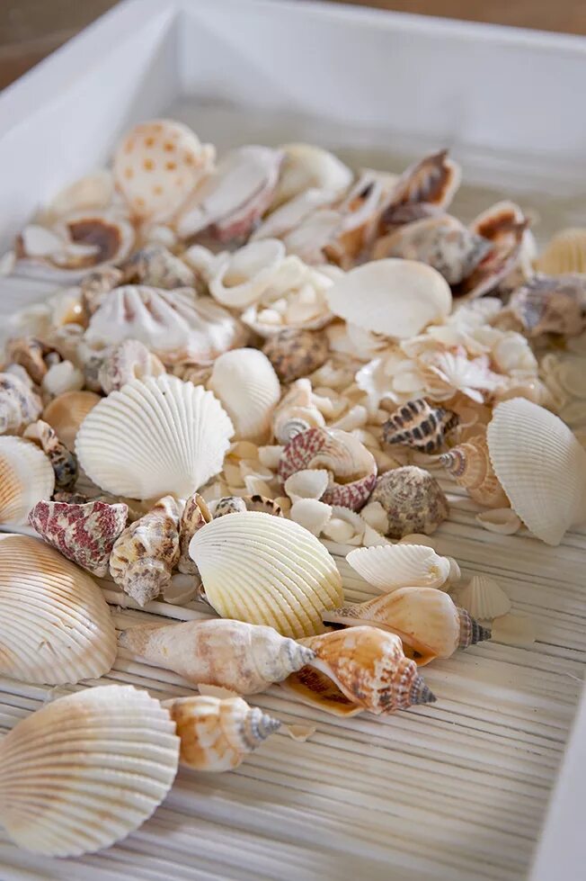 букет еды морепродукты. Sea mixed. красивые блюда из морепродуктов. искусственные ракушки для декора. стол с морепродуктами.