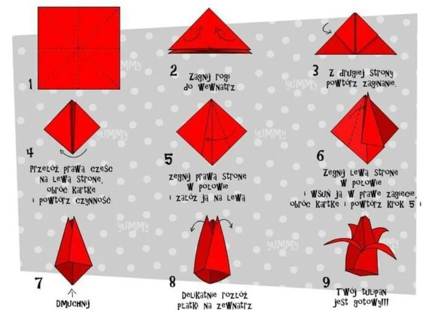 Оригами тюльпан из бумаги схема для детей. Оригами тюльпана из бумаги схема пошаговая инструкция. Схема оригами тюльпана для начинающих. Тюльпаны оригами из бумаги своими руками схемы.